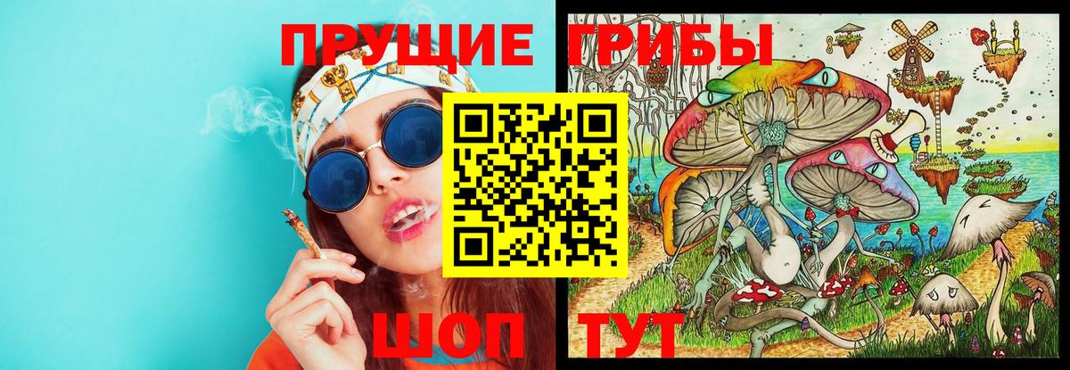 Псилоцибиновые грибы Cubensis  Вход с VPN  даркнет сайт  Зерноград 