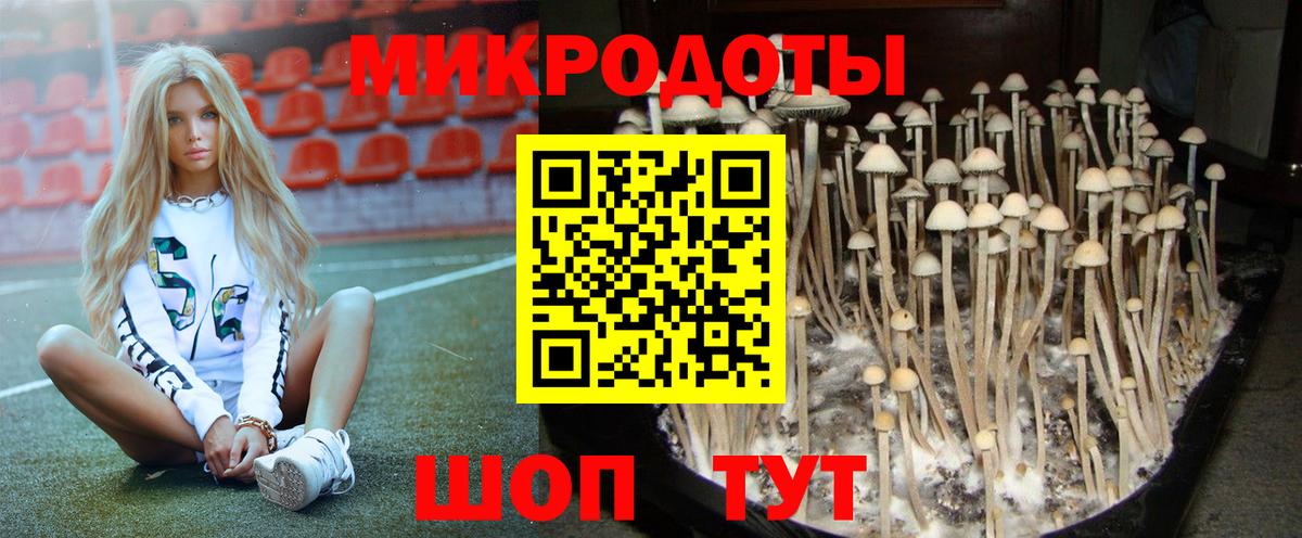 Галлюциногенные грибы Magic Shrooms Зерноград