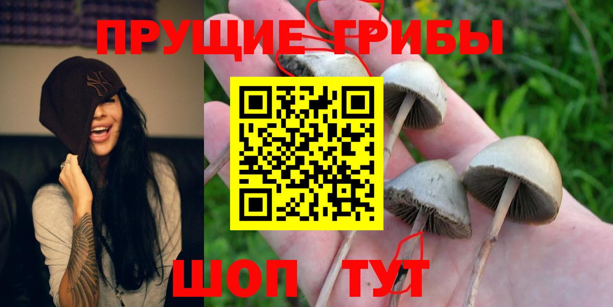 Гашиш  Каннабис  Зерноград  Кокаин  LSD-25  Меф кристаллы  Вход с VPN  Alpha PVP СК  